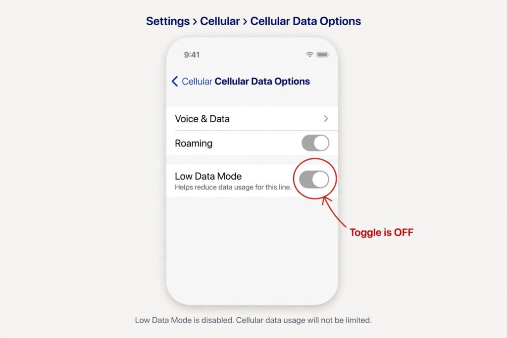 iPhone Settings screen showing Cellular Data Options with the Low Data Mode toggle switched off