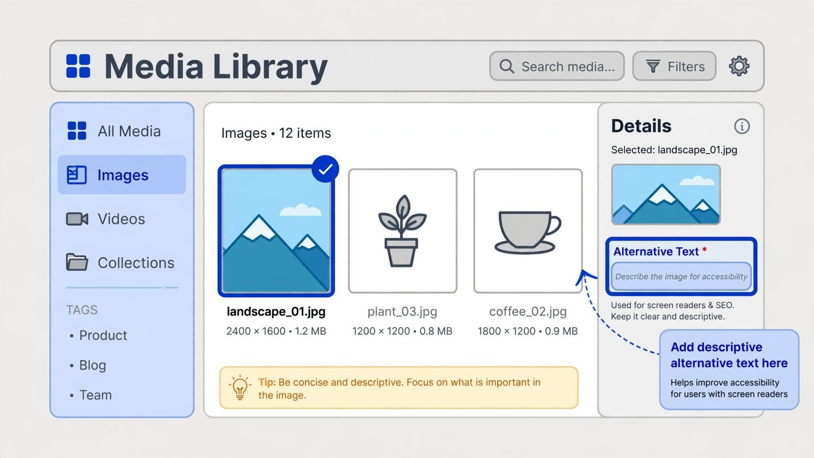 Annotated diagram of the WordPress media library Alternative Text field